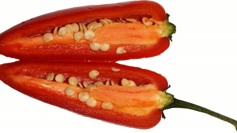 En rød jalapeño skåret på langs, så frø og den hvide skillevæg ses